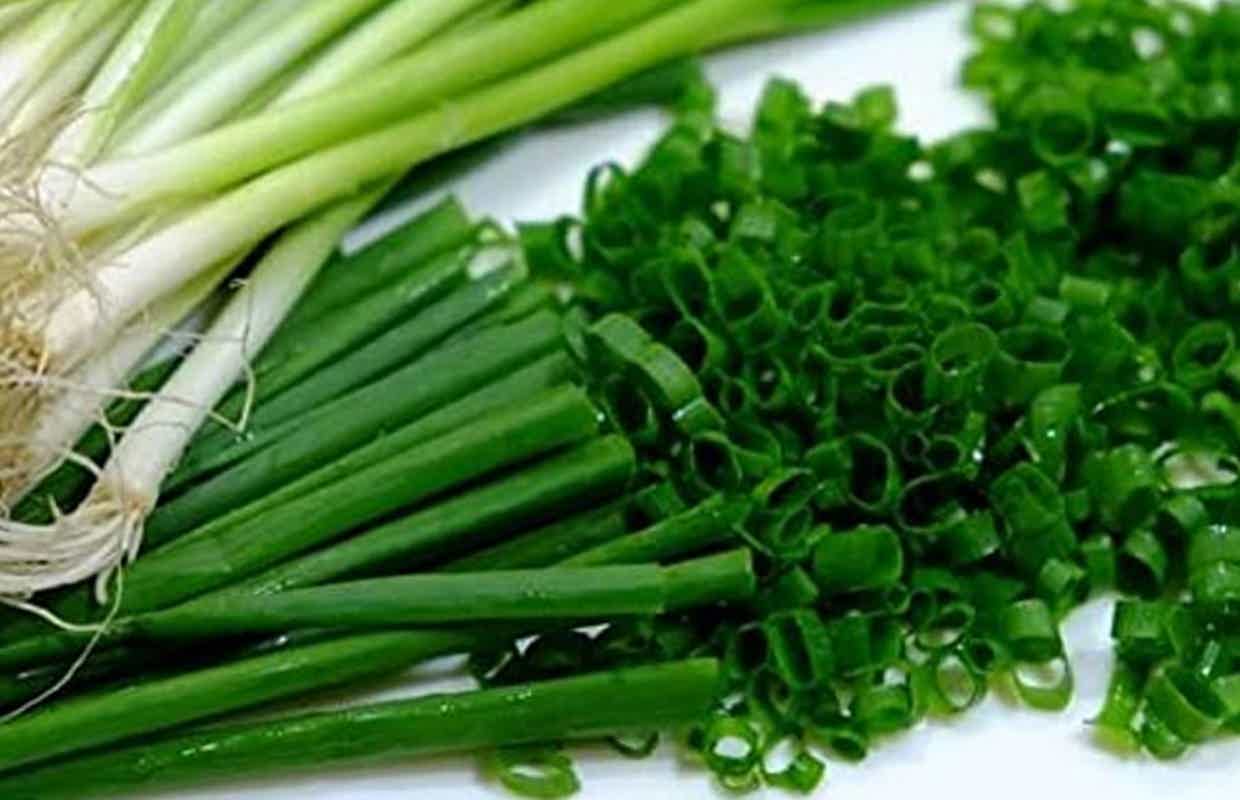 Negi
